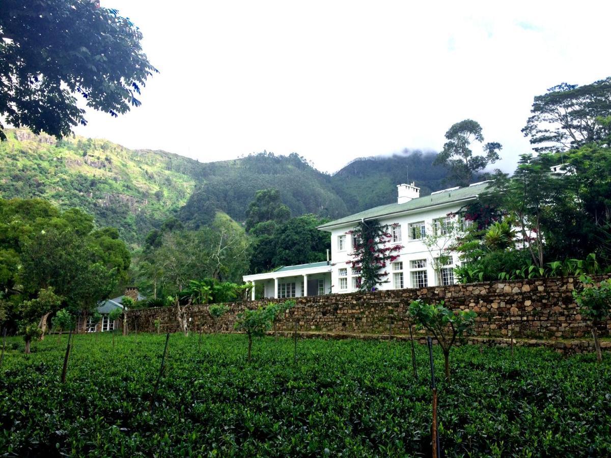 The Planters House Hotel Koslanda Bagian luar foto
